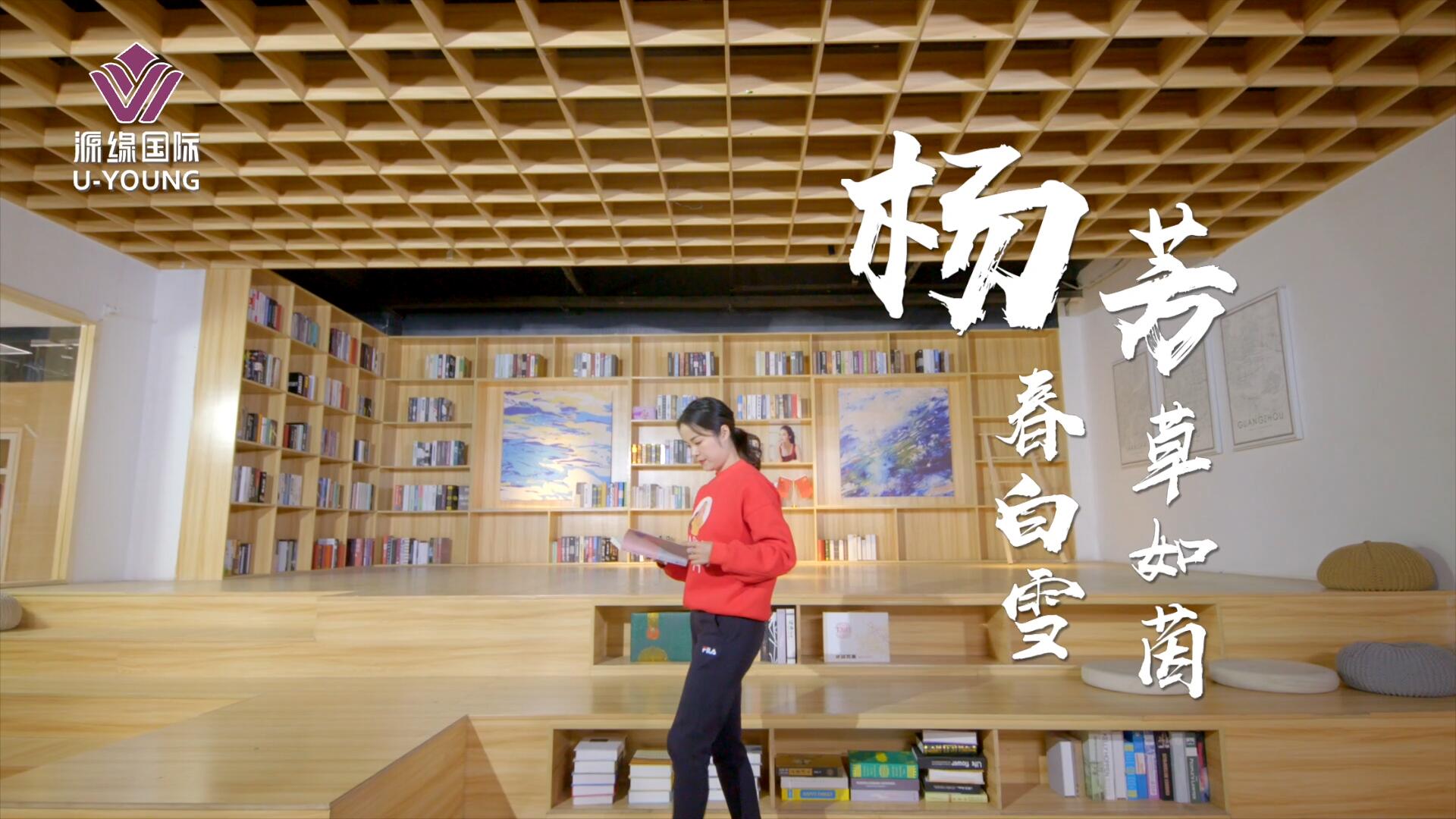 杨芳总裁个人形象片